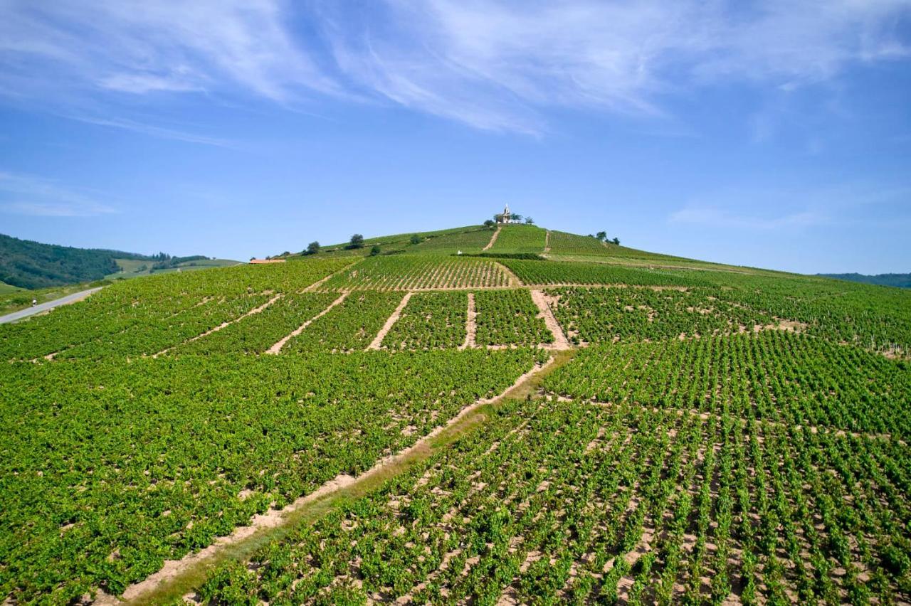 Les Glycines - Domaine Gilles Coperet Acomodação com café da manhã Régnié Exterior foto