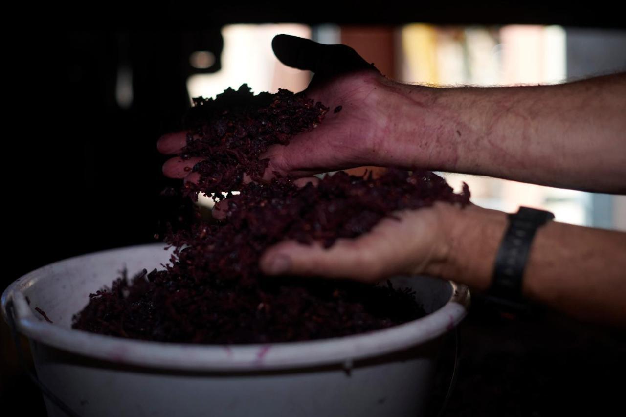 Les Glycines - Domaine Gilles Coperet Acomodação com café da manhã Régnié Exterior foto