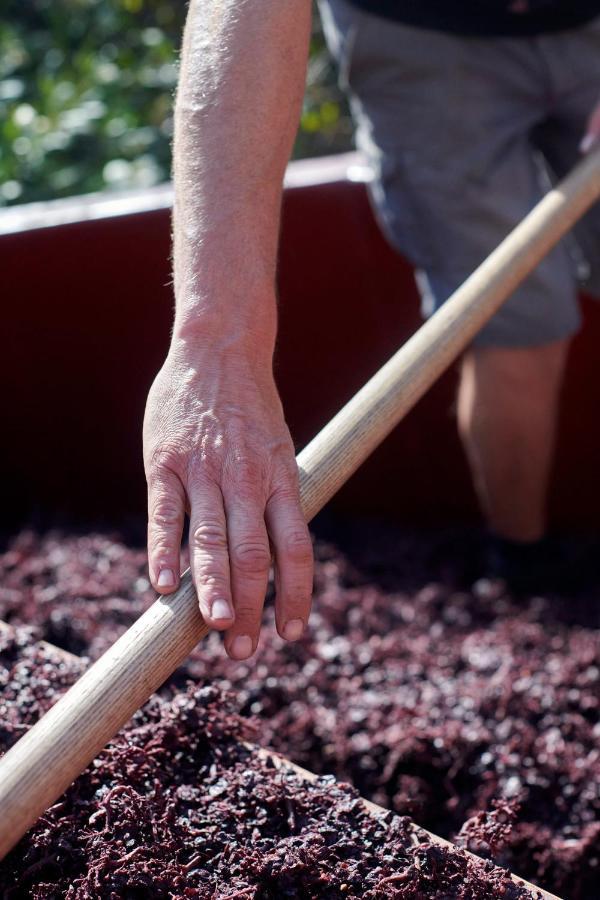 Les Glycines - Domaine Gilles Coperet Acomodação com café da manhã Régnié Exterior foto