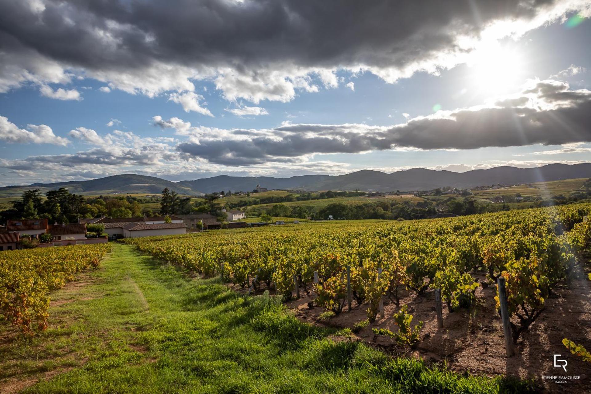 Les Glycines - Domaine Gilles Coperet Acomodação com café da manhã Régnié Exterior foto