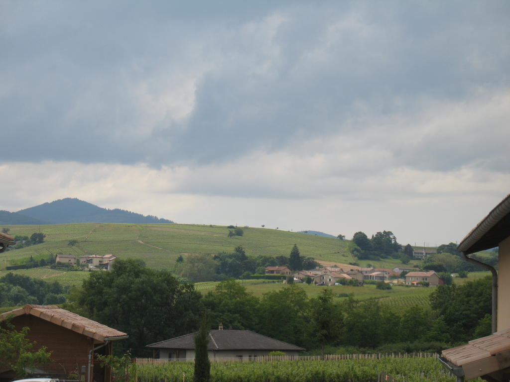 Les Glycines - Domaine Gilles Coperet Acomodação com café da manhã Régnié Exterior foto